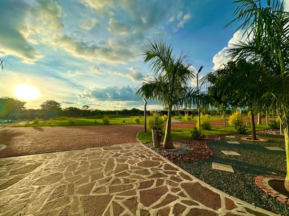 The entrance road