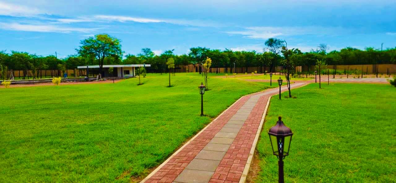 Open lawn